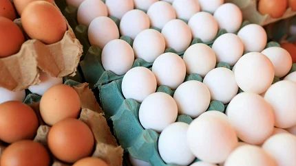 Koliko su jaja zaista zdrava?