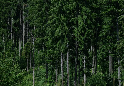 Donacija Paštrovskoj lovačkoj organizaciji