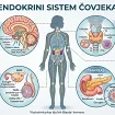 Dr Valentina Kalinić o endokrinološkom zdravlju i prevenciji