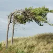 Sjeverni vjetar, temperatura do 23 stepena