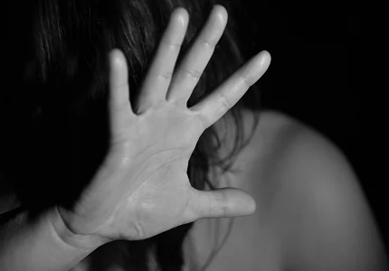 Porast predmeta nasilja u porodici otkriva slabosti kaznene politike