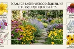 Kraljice bašte: Višegodišnje biljke koje cvjetaju cijelog ljeta