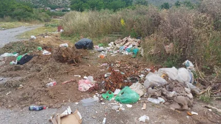Doseljenici prednjače u ekološkim akcijama: „Čista gora“ poziva na svijest o odgovornosti