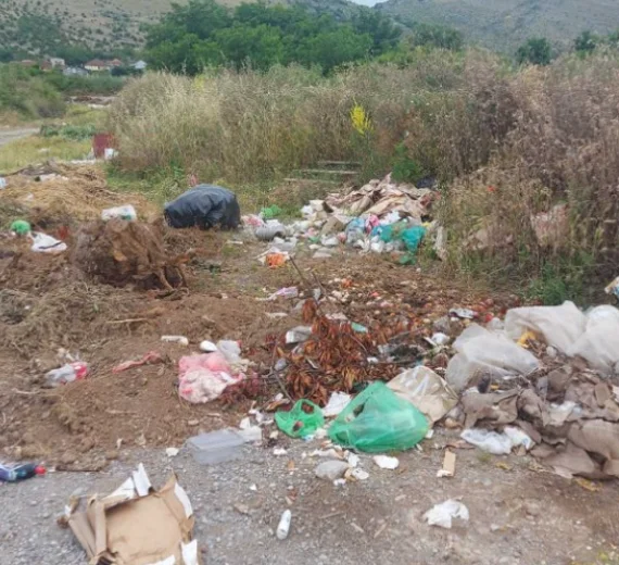 Doseljenici prednjače u ekološkim akcijama: „Čista gora“ poziva na svijest o odgovornosti
