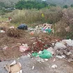 Doseljenici prednjače u ekološkim akcijama: „Čista gora“ poziva na svijest o odgovornosti