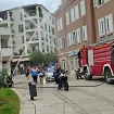 Doček Safeta Đapa na Pinama