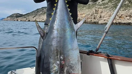 Osamnaest minuta borbe sa džinovskom tunom od 82 kg