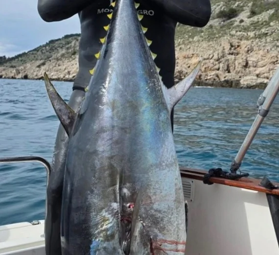 Osamnaest minuta borbe sa džinovskom tunom od 82 kg