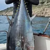 Osamnaest minuta borbe sa džinovskom tunom od 82 kg