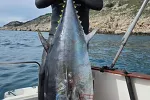 Osamnaest minuta borbe sa džinovskom tunom od 82 kg