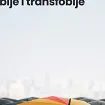 Međunarodni dan borbe protiv homofobije, bifobije i transfobije