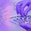 Šta je ebola i zašto SZO upozorava na globalnu zdravstvenu opasnost?