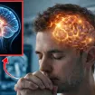 Neuronauka: Molitva mijenja mozak