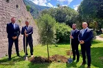 U čast Dana nezavisnosti u Kotoru zasadili drvo masline ispred Starog grada