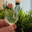 Domaća rakija pod strožom kontrolom: Svaki kazan moraće da se prijavi, preko 50 litara plaća se akciza