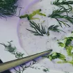 Hrskava osvježavajuća krastavac salata
