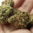 Nova istraživanja: Nema dokaza da marihuana liječi anksioznost i depresiju