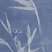 Izložba grafika „Polako” Volje Hapejeve od 2. juna u Petrovcu