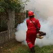 Na snazi zabrana kabastog otpada, počelo i sedam ciklusa zaprašivanja komaraca