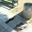 Sa terena: Polomljene betonske ploče na šetalištu u Budvi predstavljaju opasnost za pješake