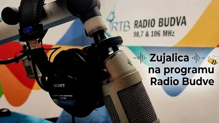 Stiže ljeto u „Zujalicu“: Sunce, igra i avanture danas na talasima Radio Budve
