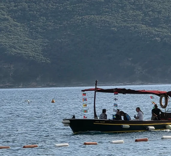 Danas pretežno sunčano, do 32 stepena