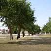 Kako su u staroj Budvi govorili vlastodršci, a kako ribari i barkarioli