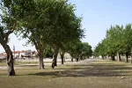 Kako su u staroj Budvi govorili vlastodršci, a kako ribari i barkarioli