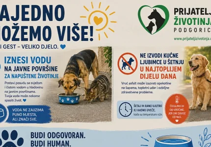 Prijatelji životinja apeluju na građane da ostavljaju vodu za napuštene životinje
