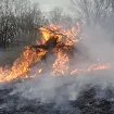 Požar na granici Crne Gore i Hrvatske: Vatra zahvatila šumski pojas