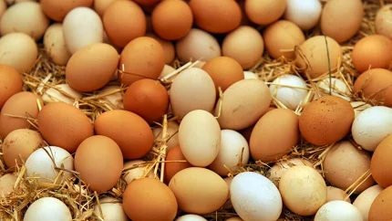 Cijene jaja porasle i do 33 odsto, paradajz pojeftinio: Spanać skuplji 73 odsto nego lani