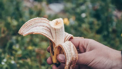Šta se dešava sa mozgom kada jedete banane – naučnici imaju zanimljiv odgovor