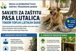 Uprava za bezbjednost hrane apeluje: Pomozimo psima lutalicama tokom vrelih ljetnjih dana