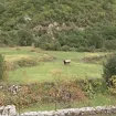 Sve više turista na pješačkim stazama u Poborima