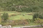 Sve više turista na pješačkim stazama u Poborima