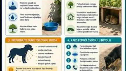Uprava za bezbjednost hrane apeluje: Pomozimo napuštenim životinjama tokom vrelih ljetnjih dana