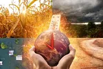 Strategija od 19 miliona eura: Kako se Crna Gora bori protiv ekstremnih vremenskih nepogoda