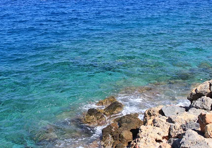 Nautički turizam cvjeta, ali pluća Jadrana nestaju pod sidrima
