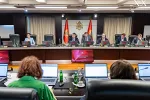 Vlada utvrdila izmjene više zakonskih rješenja radi usklađivanja sa Zakonom o životnom partnerstvu lica istog pola