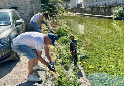 Lijep primjer iz Kotora: Građani Starog grada očistili korito Škurde