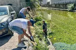 Lijep primjer iz Kotora: Građani Starog grada očistili korito Škurde