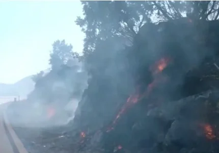 Snimak nadzorne kamere pokazao da je požar na „Livadama“ podmetnut