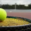 Siner siguran protiv Njemca, čeka se Đoković za finale prije finala na Vimbldonu