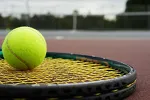 Siner siguran protiv Njemca, čeka se Đoković za finale prije finala na Vimbldonu