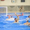 Budva napravila moćan tim: Novi trener Nebojša Milić i osam pojačanja za napad na trofeje