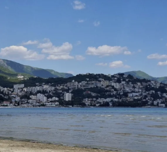 Uhapšene dvije državljanke Sjeverne Makedonije zbog krađe u Igalu