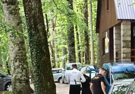 Dvije osobe iz restorana u NP Biogradska gora povrijeđene nakon što se na njih prosulo vrelo ulje