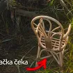 Zabrinjavajući prizor u Buljarici: Pronađena ustrijeljena patka u periodu lovostaja, podnijeta krivična prijava