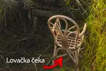 Zabrinjavajući prizor u Buljarici: Pronađena ustrijeljena patka u periodu lovostaja, podnijeta krivična prijava