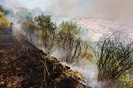 Ekstremne vrućine ostavljaju posljedice širom Evrope: Pojedini krajevi gotovo neprepoznatljivi